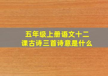 五年级上册语文十二课古诗三首诗意是什么