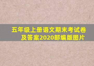 五年级上册语文期末考试卷及答案2020部编版图片