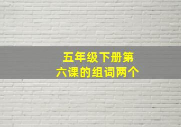 五年级下册第六课的组词两个