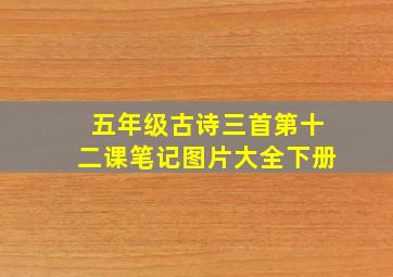 五年级古诗三首第十二课笔记图片大全下册