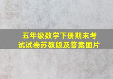 五年级数学下册期末考试试卷苏教版及答案图片