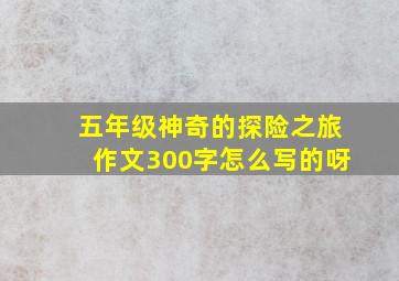 五年级神奇的探险之旅作文300字怎么写的呀