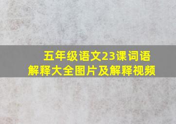 五年级语文23课词语解释大全图片及解释视频