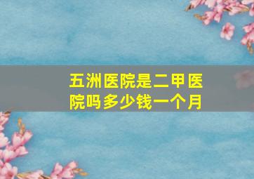 五洲医院是二甲医院吗多少钱一个月