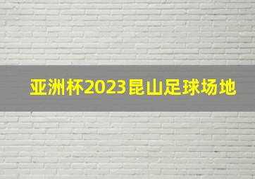 亚洲杯2023昆山足球场地