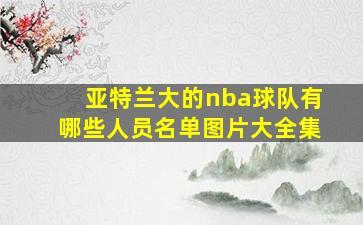 亚特兰大的nba球队有哪些人员名单图片大全集