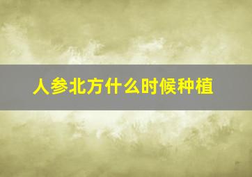 人参北方什么时候种植