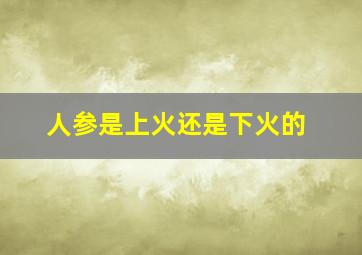 人参是上火还是下火的