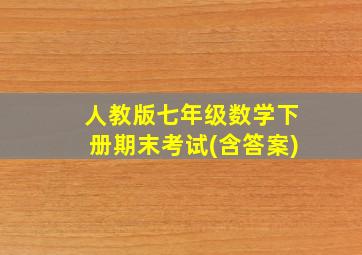 人教版七年级数学下册期末考试(含答案)