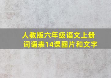 人教版六年级语文上册词语表14课图片和文字