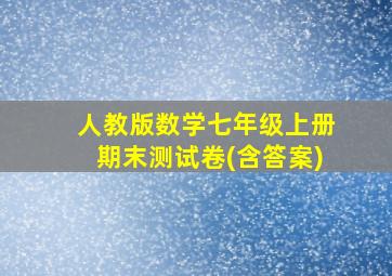 人教版数学七年级上册期末测试卷(含答案)