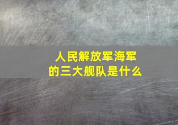 人民解放军海军的三大舰队是什么