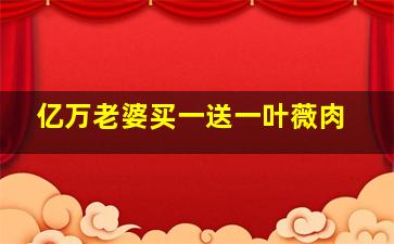 亿万老婆买一送一叶薇肉