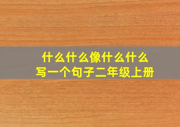 什么什么像什么什么写一个句子二年级上册