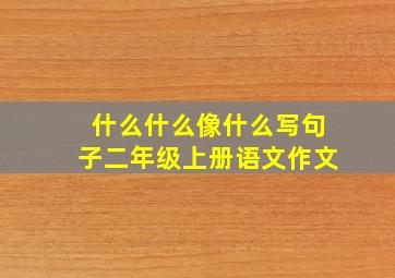 什么什么像什么写句子二年级上册语文作文