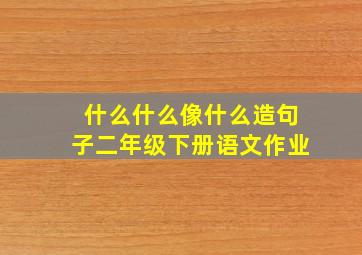 什么什么像什么造句子二年级下册语文作业