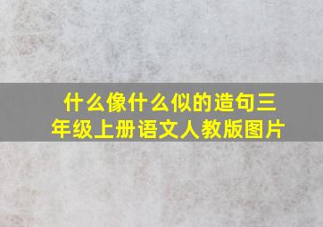 什么像什么似的造句三年级上册语文人教版图片