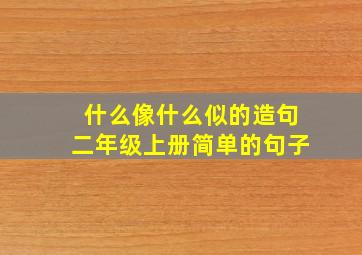 什么像什么似的造句二年级上册简单的句子