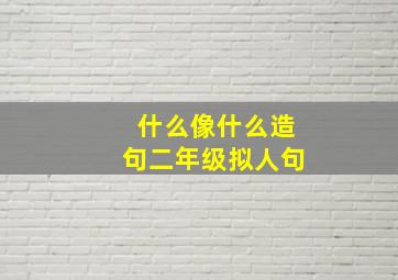 什么像什么造句二年级拟人句