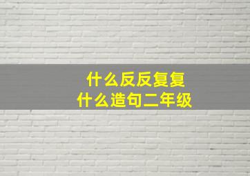 什么反反复复什么造句二年级