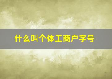 什么叫个体工商户字号