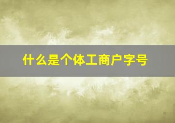 什么是个体工商户字号