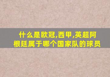 什么是欧冠,西甲,英超阿根廷属于哪个国家队的球员