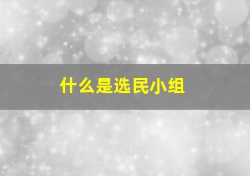 什么是选民小组