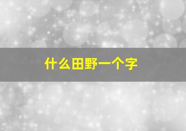 什么田野一个字