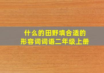 什么的田野填合适的形容词词语二年级上册