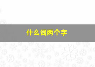 什么词两个字