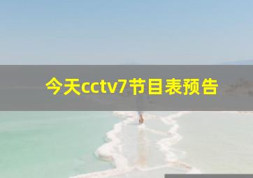 今天cctv7节目表预告