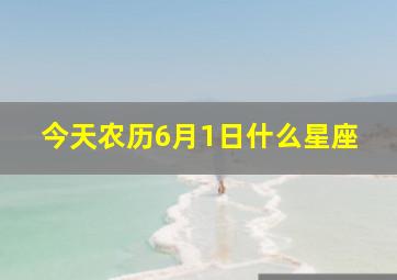 今天农历6月1日什么星座