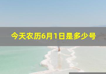 今天农历6月1日是多少号