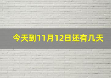 今天到11月12日还有几天