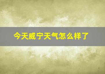 今天威宁天气怎么样了