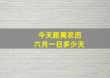 今天距离农历六月一日多少天