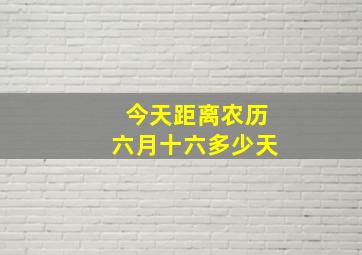 今天距离农历六月十六多少天