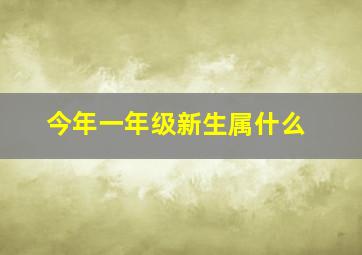 今年一年级新生属什么