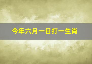 今年六月一日打一生肖