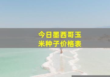 今日墨西哥玉米种子价格表