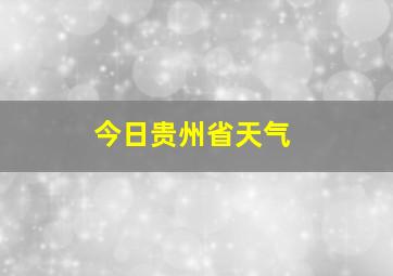 今日贵州省天气