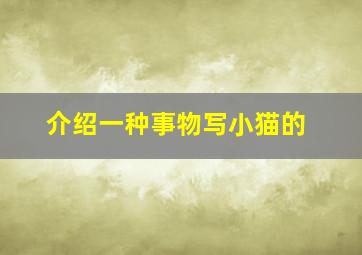 介绍一种事物写小猫的