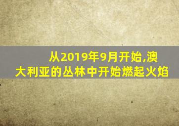 从2019年9月开始,澳大利亚的丛林中开始燃起火焰