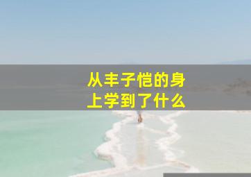 从丰子恺的身上学到了什么