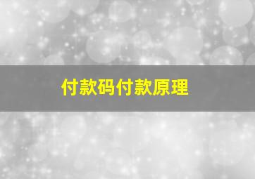 付款码付款原理