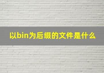 以bin为后缀的文件是什么