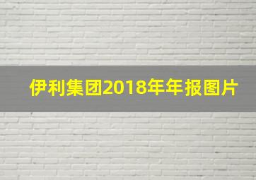 伊利集团2018年年报图片