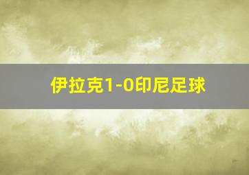 伊拉克1-0印尼足球