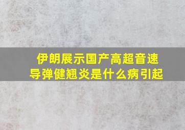 伊朗展示国产高超音速导弹健翘炎是什么病引起